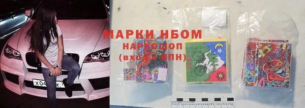 стаф Нефтегорск