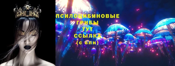 прущий лед Нея