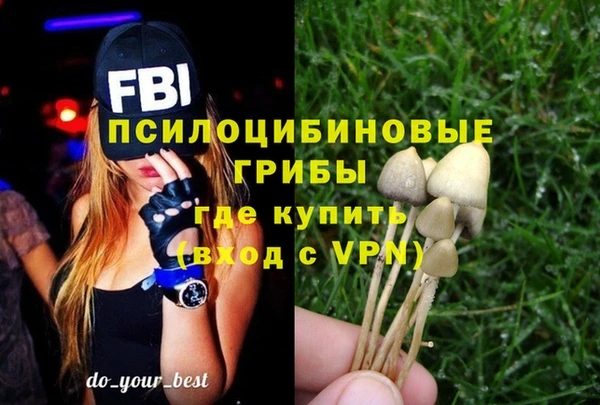 прущий лед Нея