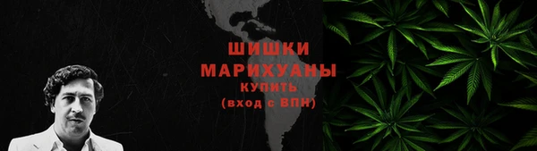 стаф Нефтегорск