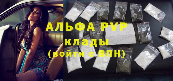 стаф Нефтегорск