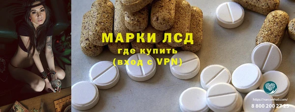 стаф Нефтегорск