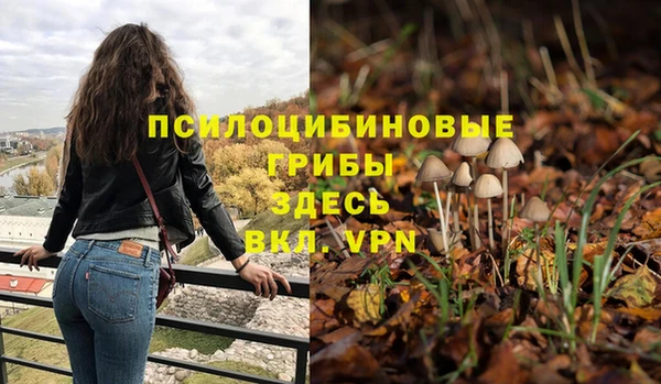 прущий лед Нея