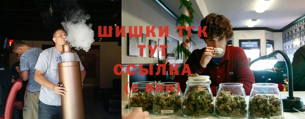 прущий лед Нея
