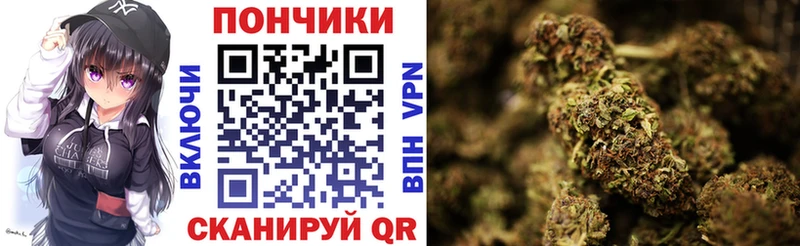 Каннабис план  Печора 